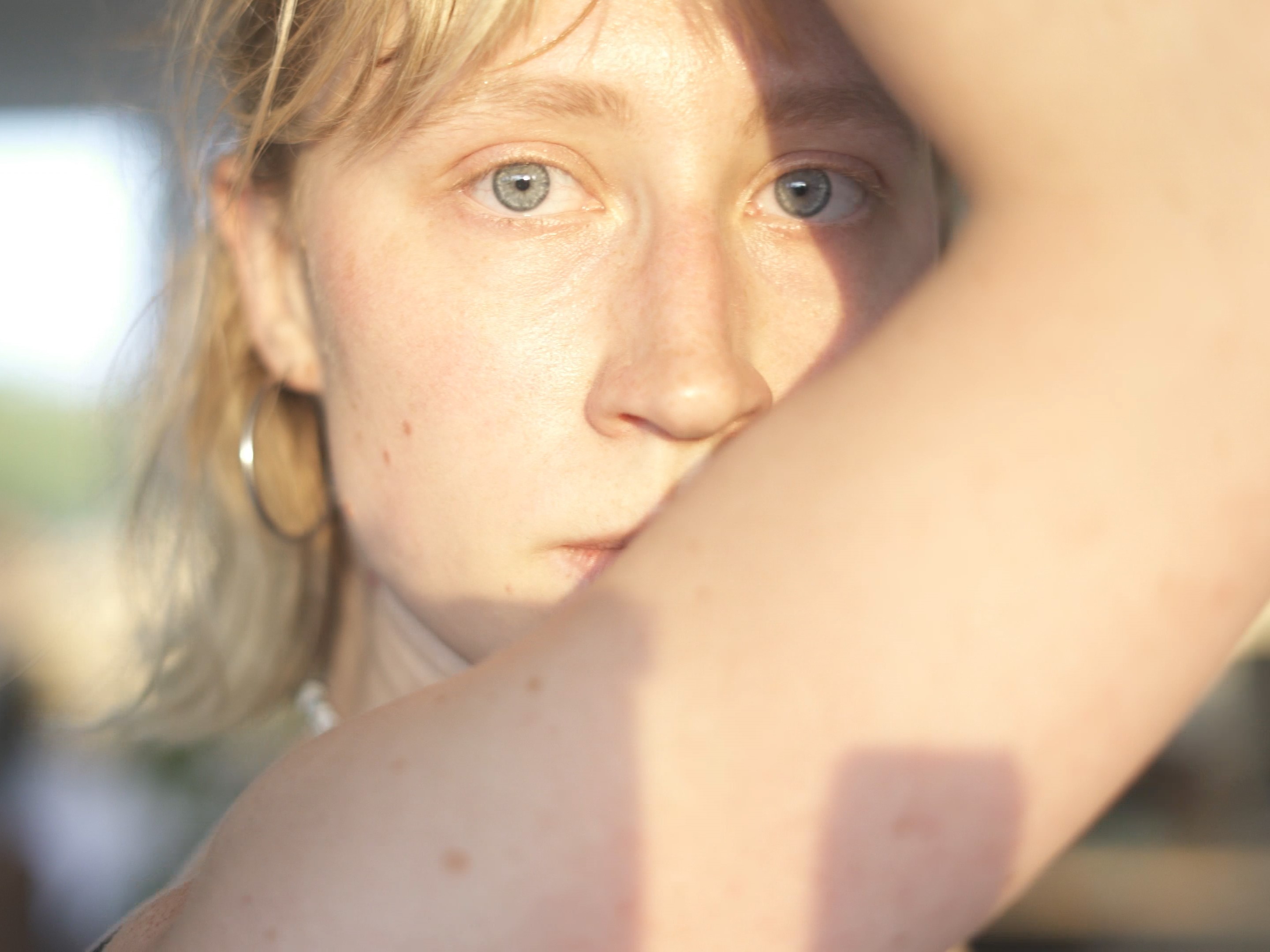 Assembling the Arctic Symphony