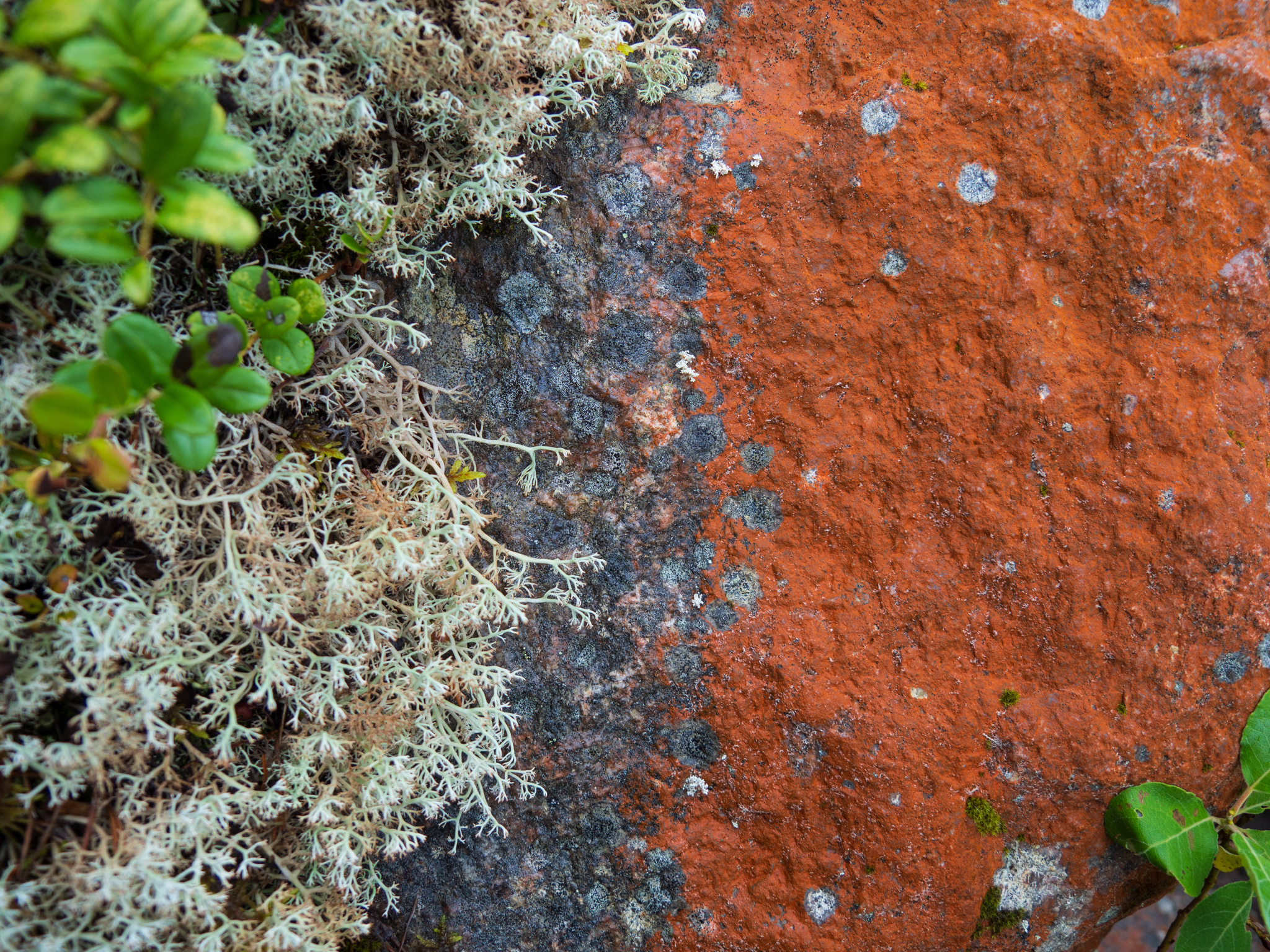 Borders and Transitions